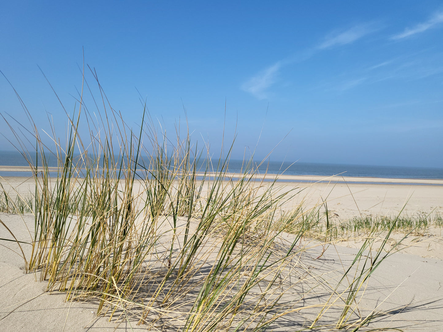 Ascheverstreuung in den Dünen von Callantsoog