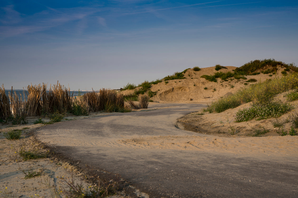 Dünenascheverstreuung in Cadzand der schönen Provinz Zeeland