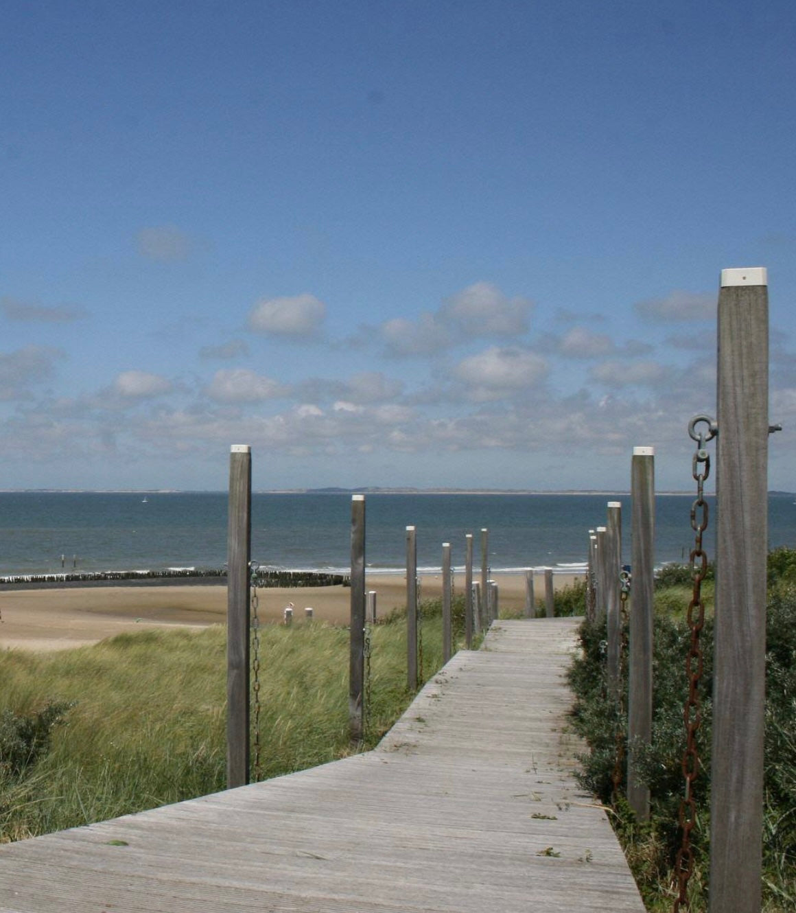 Dünenascheverstreuung in Nieuwvliet-Bad der Provinz Zeeland