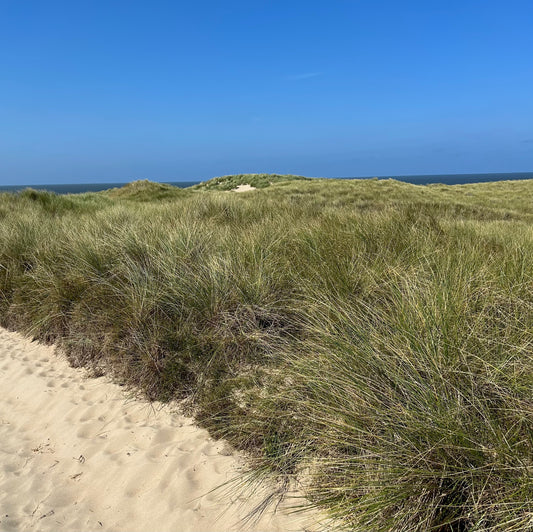 Ascheverstreuung im schönen Oostkapelle, der Provinz Zeeland