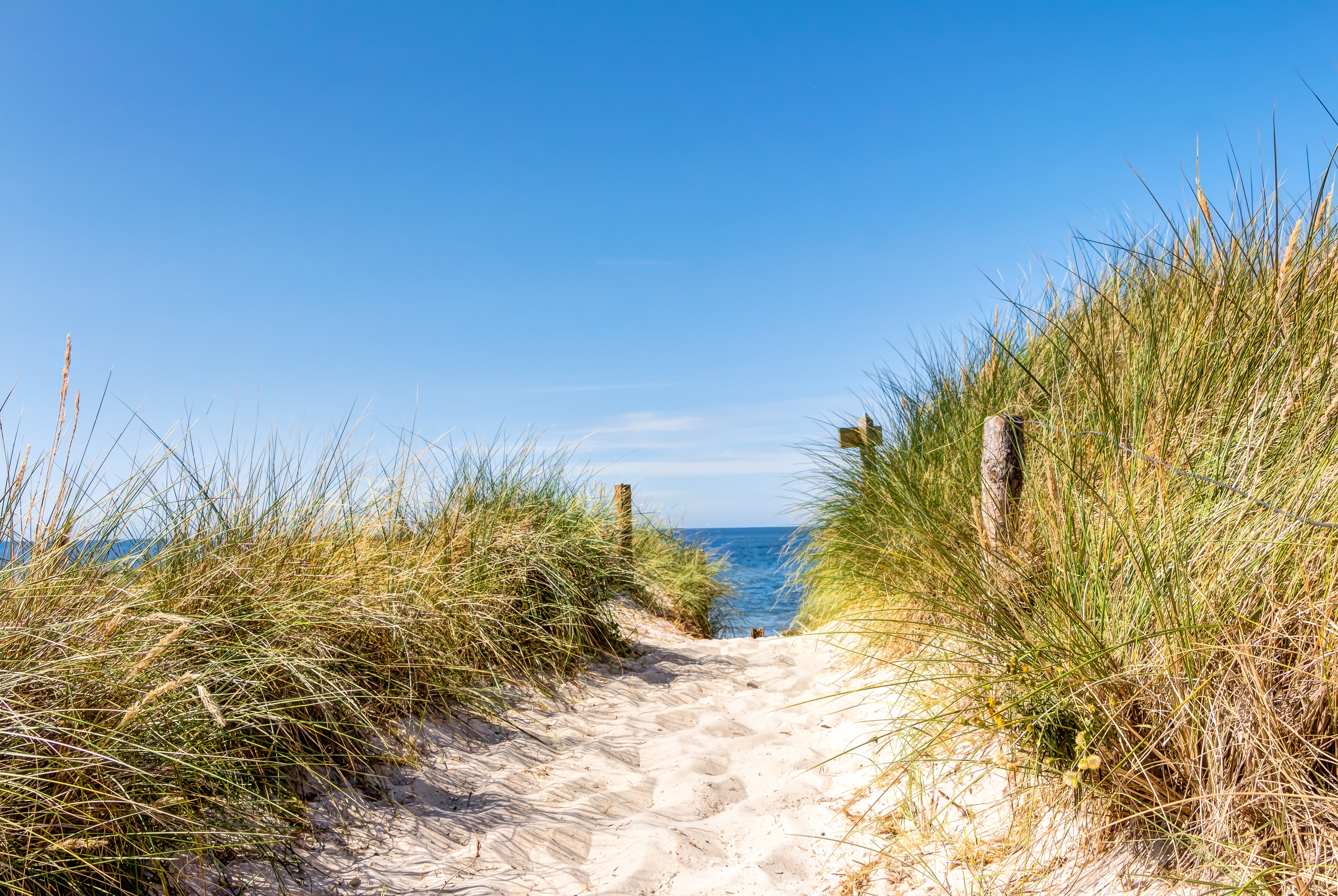 TreibSand Dünenverstreuung Ascheverstreuung Dünenbestattung Holland Den Helder Dünenbestattungen